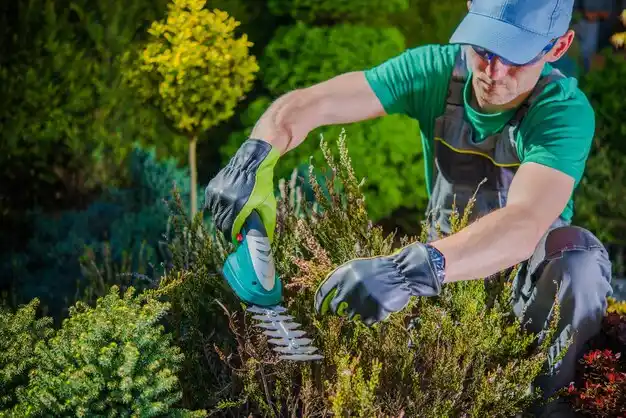 landscaping services Avon Lake